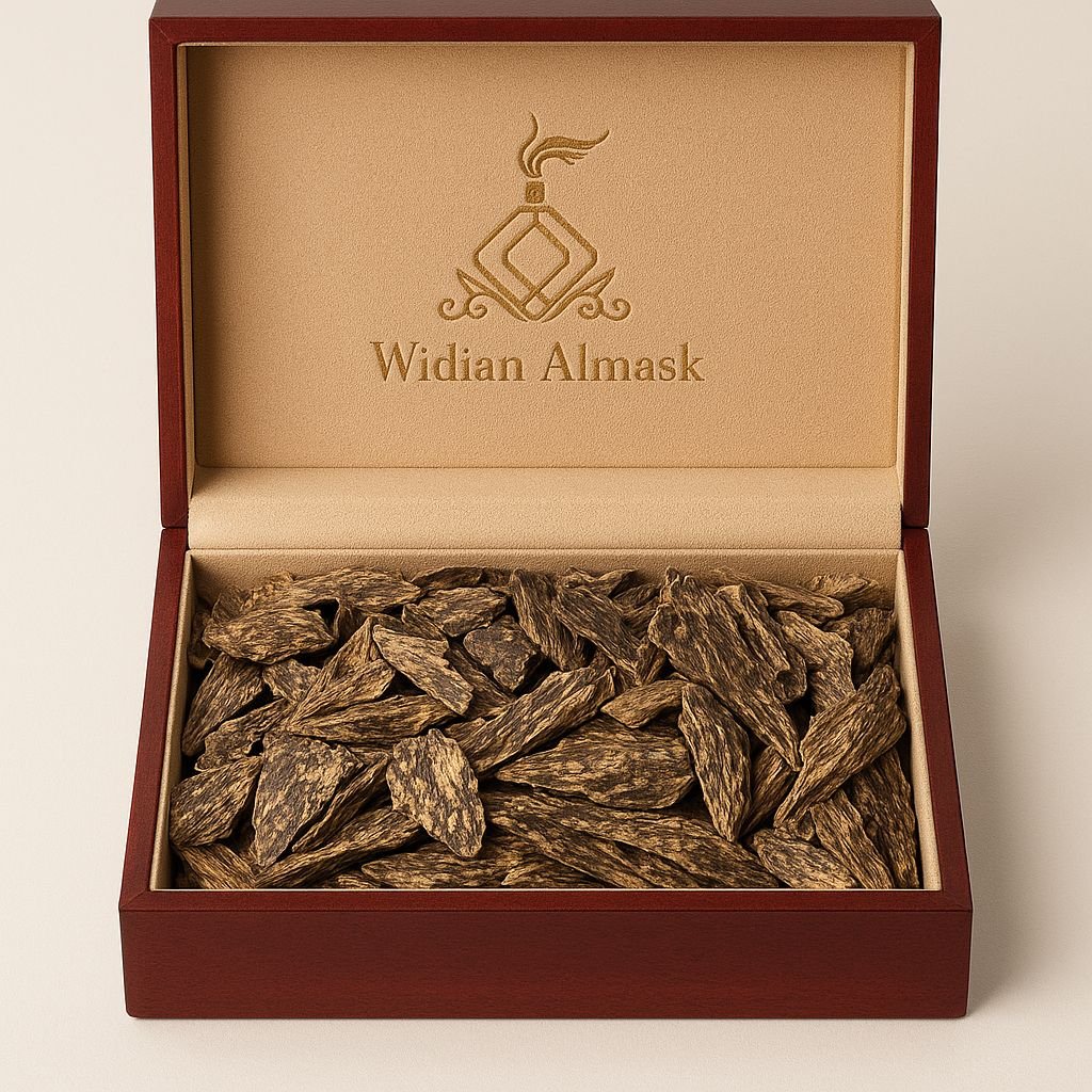 WhatsApp Image 2025-11-16 at 10.19.26 AM